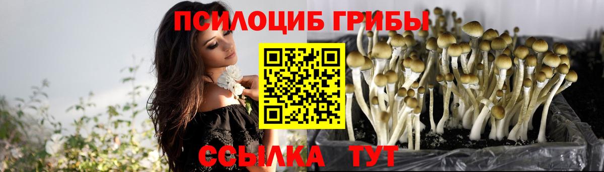 Галлюциногенные грибы прущие грибы Клинцы